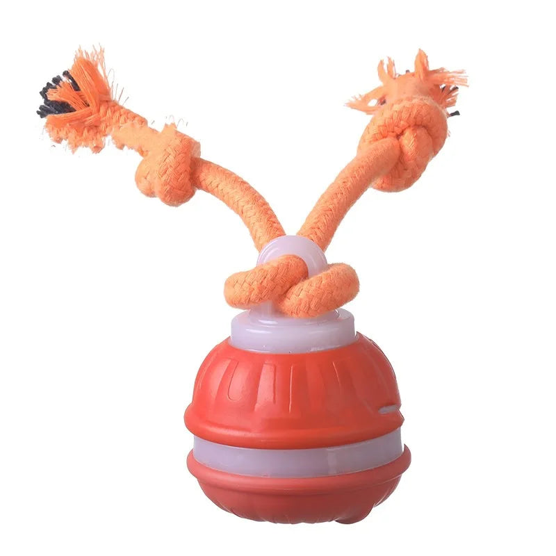 Pet Ball for Dogs Interactive Toys – 2 Colors