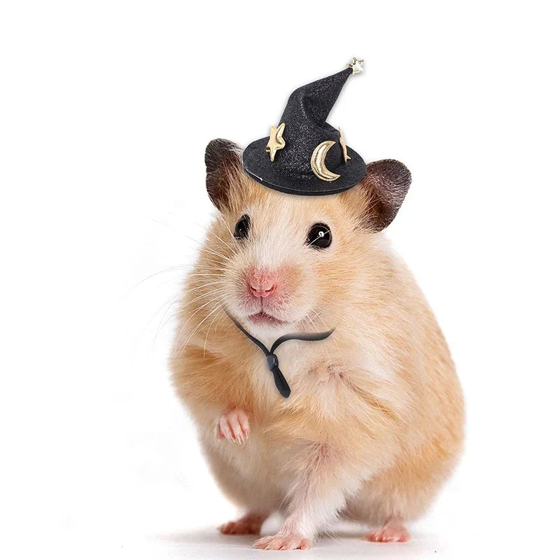 Mini Witch Hat for Small Animals Adjustable - ProPawPet.com