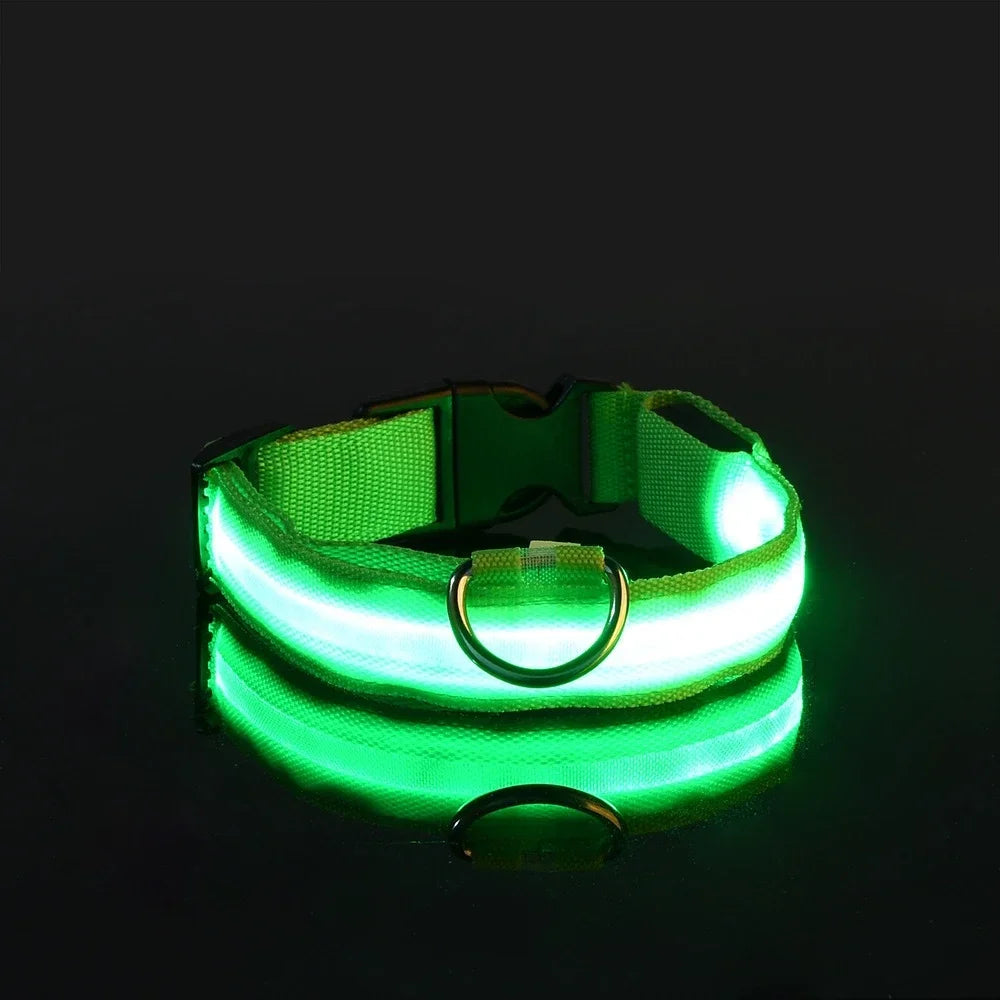 Dog Collar Nylon LED Night Safety Flashing - ProPawPet.com