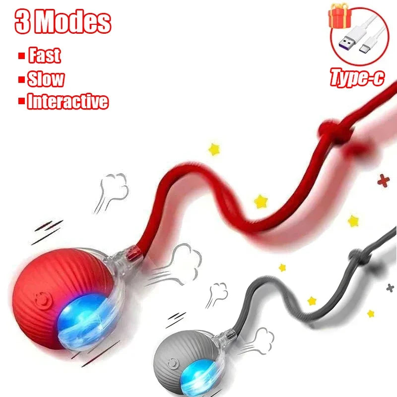 1 Cat Interactive Ball Toy – Cat Toys & Play
