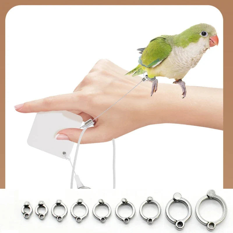 Cockatiel Harness And Leashes 2M Conures - ProPawPet.com
