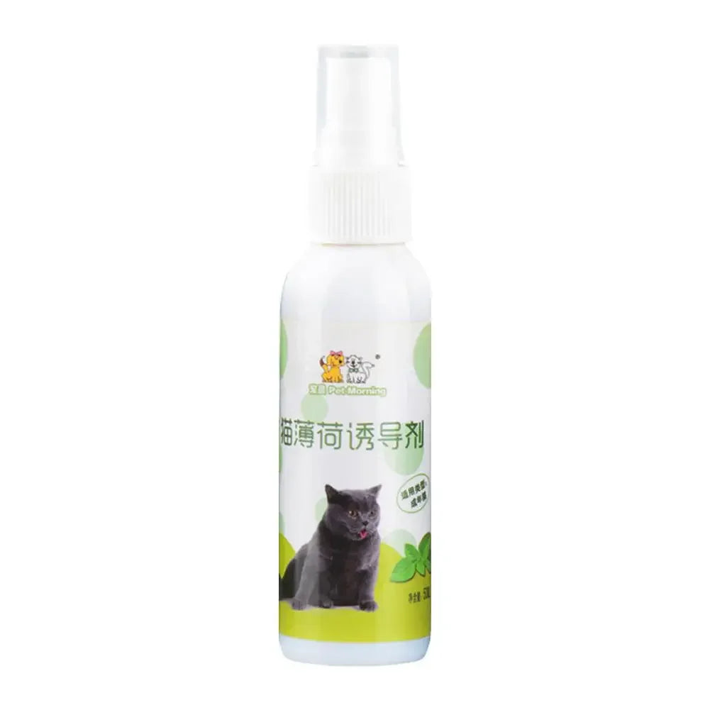 50ml Cat Catnip Spray Natural Healthy Safe Long Term Toy – Cat Supplies