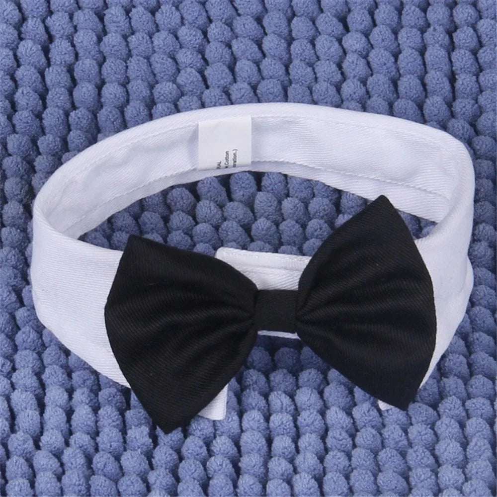 Adjustable Formal Pet Bowtie Collar Neck Tie - ProPawPet.com