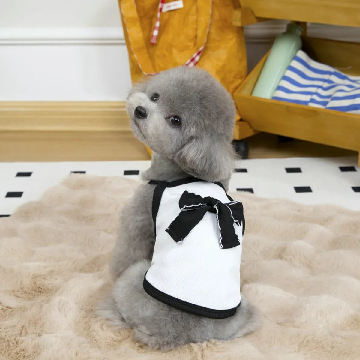 Pet Clothing Dog Clothing Spring/Summer New - ProPawPet.com