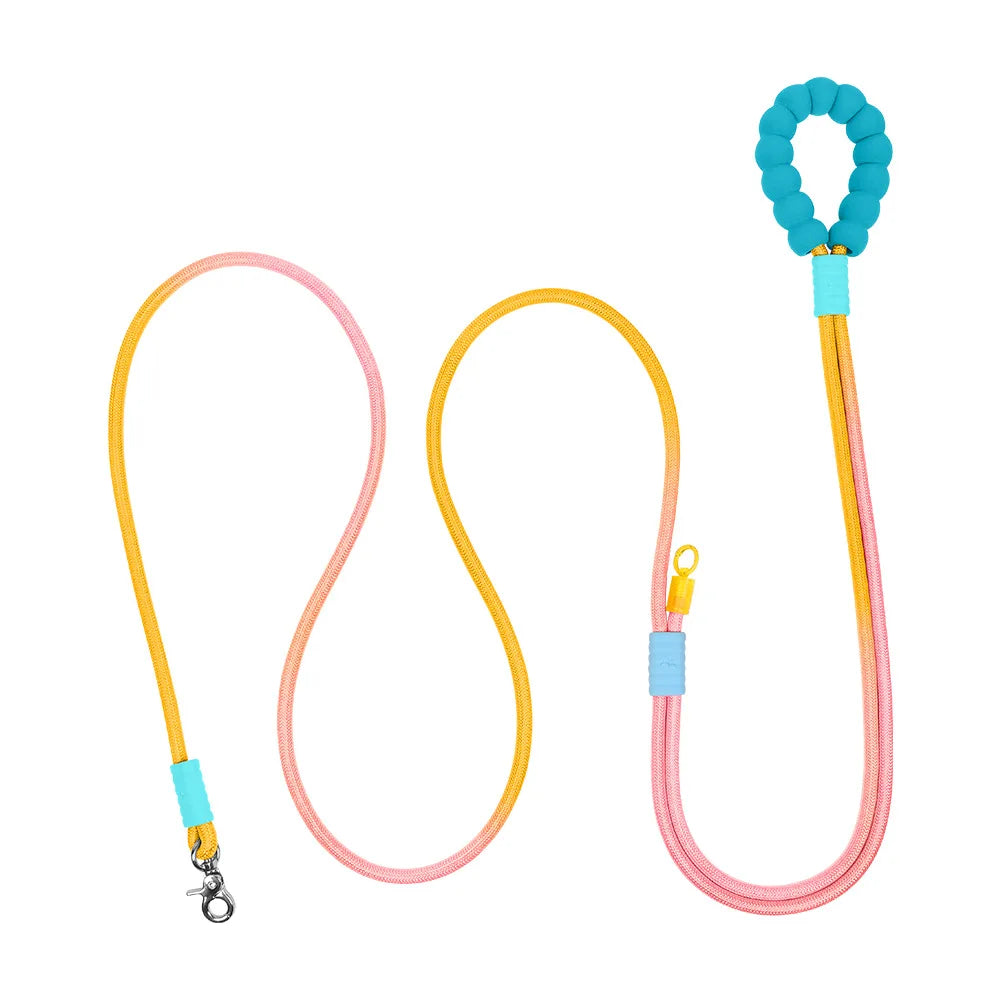 Heavy Duty Gradient Reflective Dog Leash - ProPawPet.com