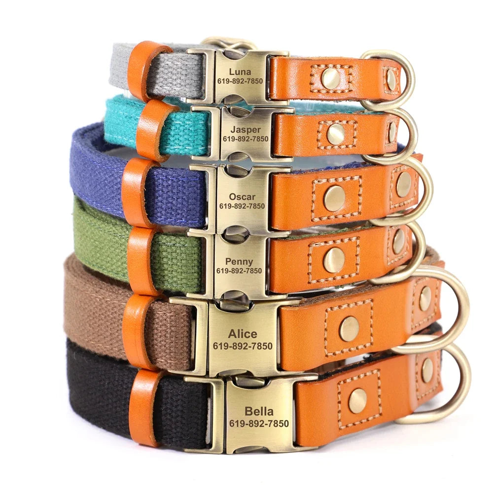 Nylon Custom Dog Puppy Collar Leash Set - ProPawPet.com