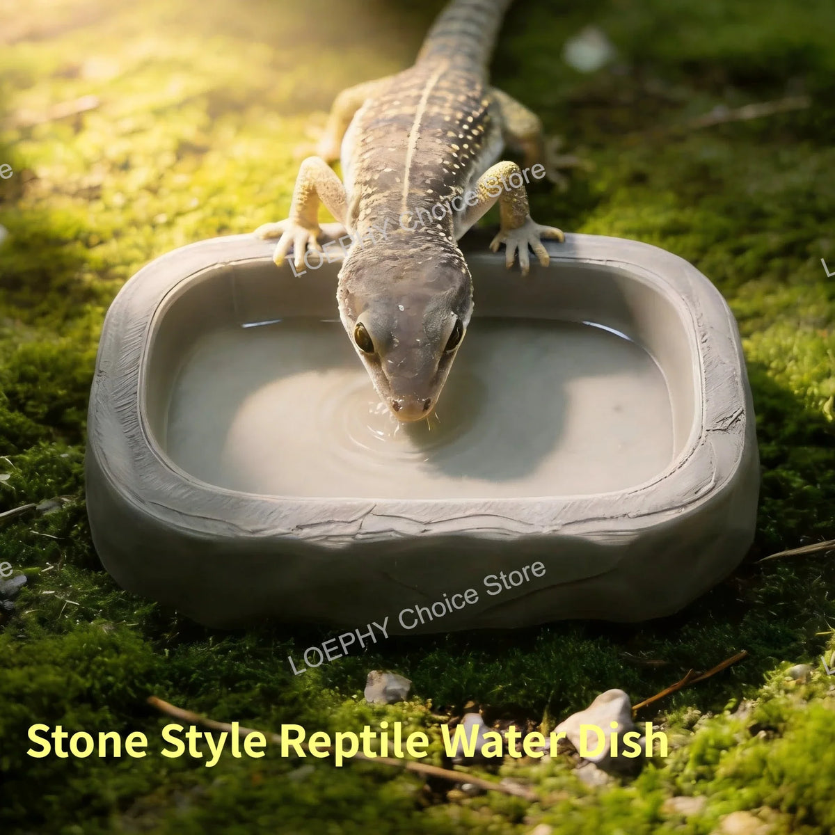 Stone Style Reptile Water Dish Reptile 3D - ProPawPet.com
