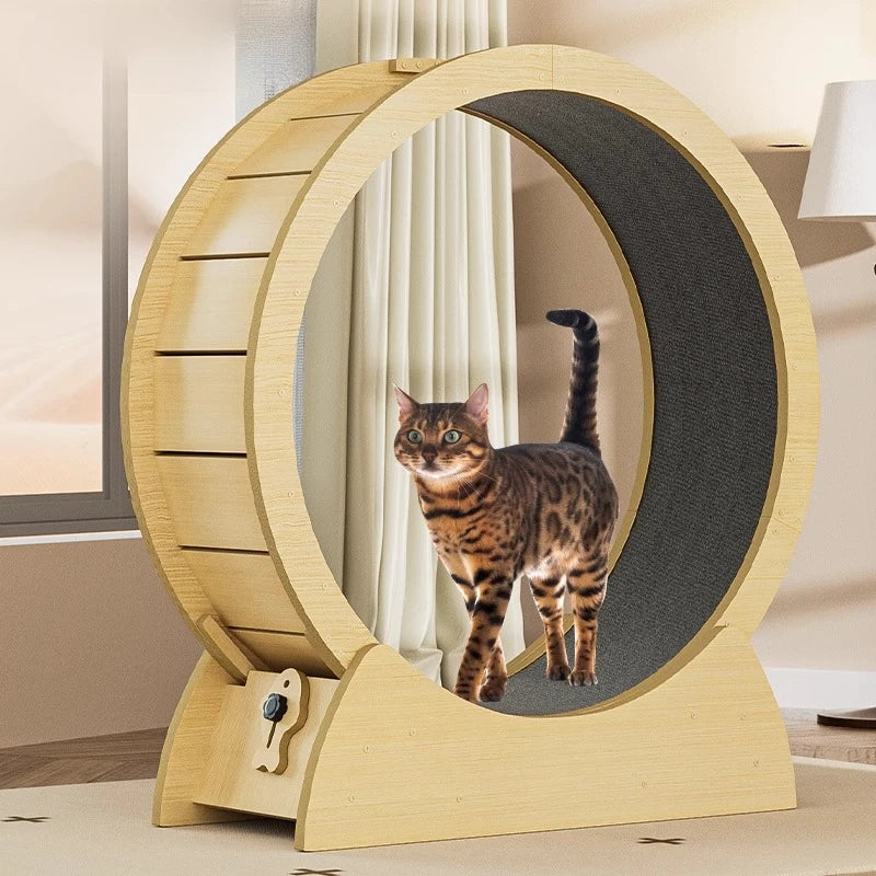 Solid Wood Cat Treadmill with Silent - ProPawPet.com
