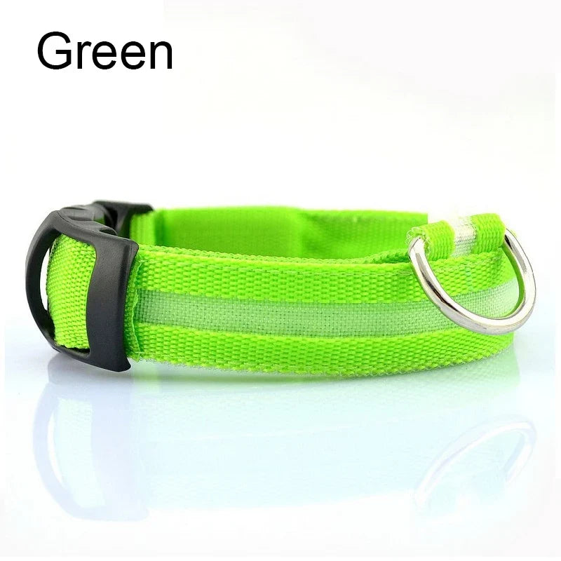 Reflective Nylon LED Pet Dog Collar Safety - ProPawPet.com