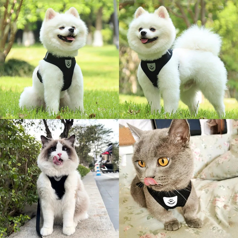 Adjustable Cat Dog Harness Leash Set - ProPawPet.com