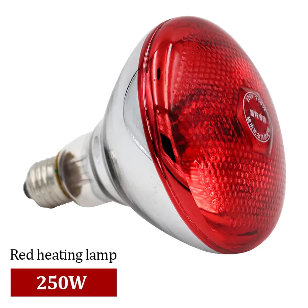 Pet Reptile Heating Lamp Set – Cooling, Warming & Seasonal