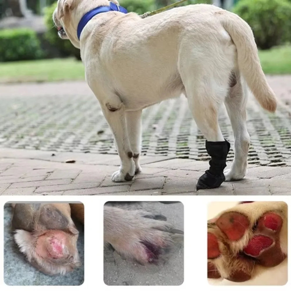 Dog Wound Recovery Boot Paws Protector - ProPawPet.com
