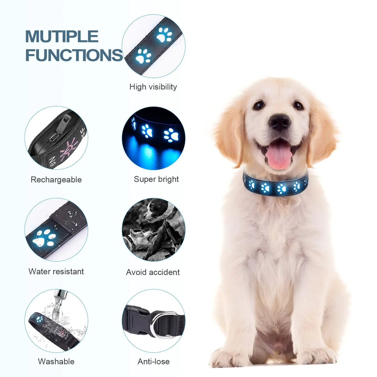 7 Modes Led Dog Collar Bone Colourful Light - ProPawPet.com