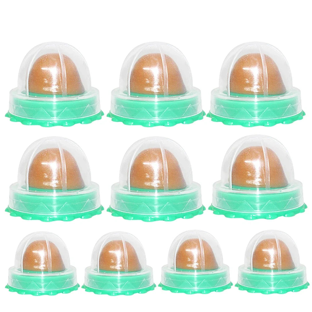 5 Catnip Wall Ball Healthy Nutrition Cat Nip Treats – Cat Supplies