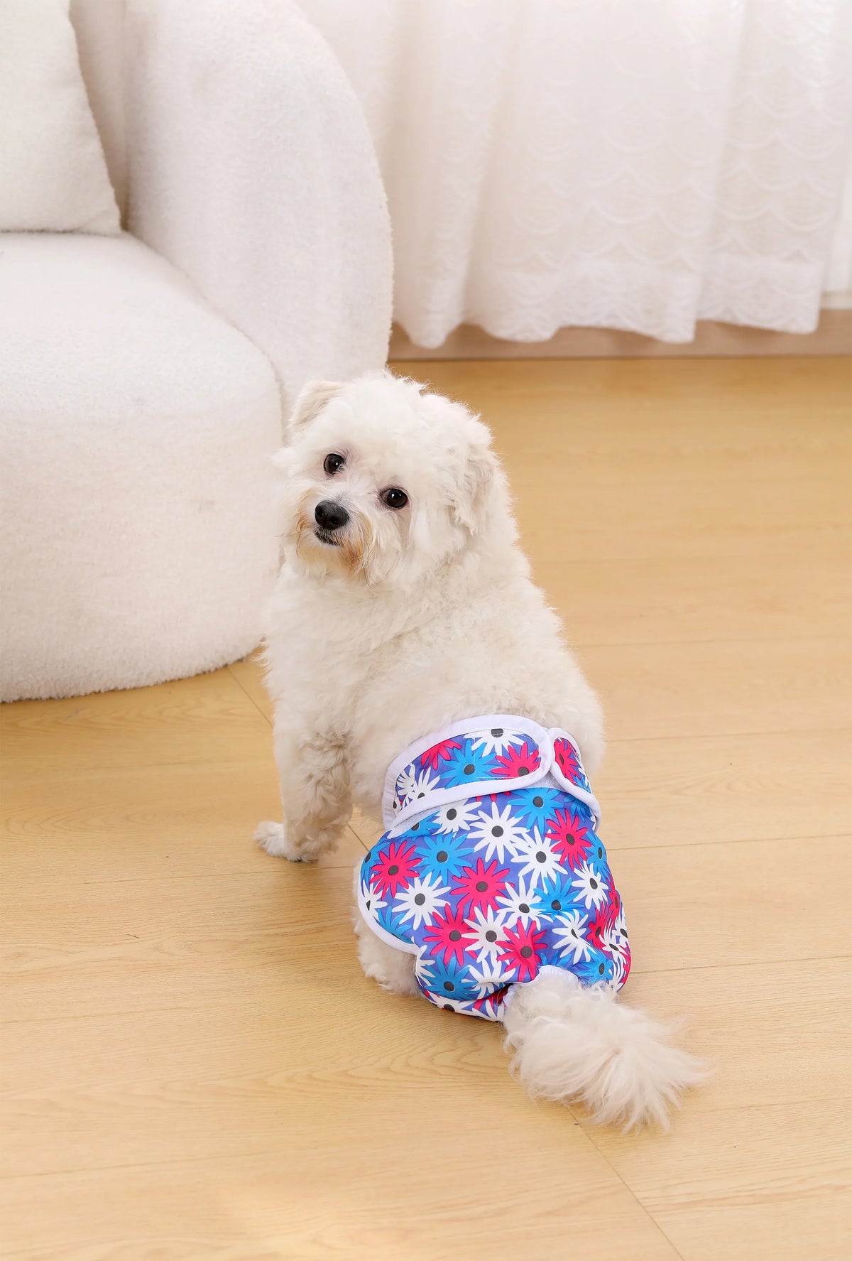 Reusable Female Dog Diapers For Small Big - ProPawPet.com