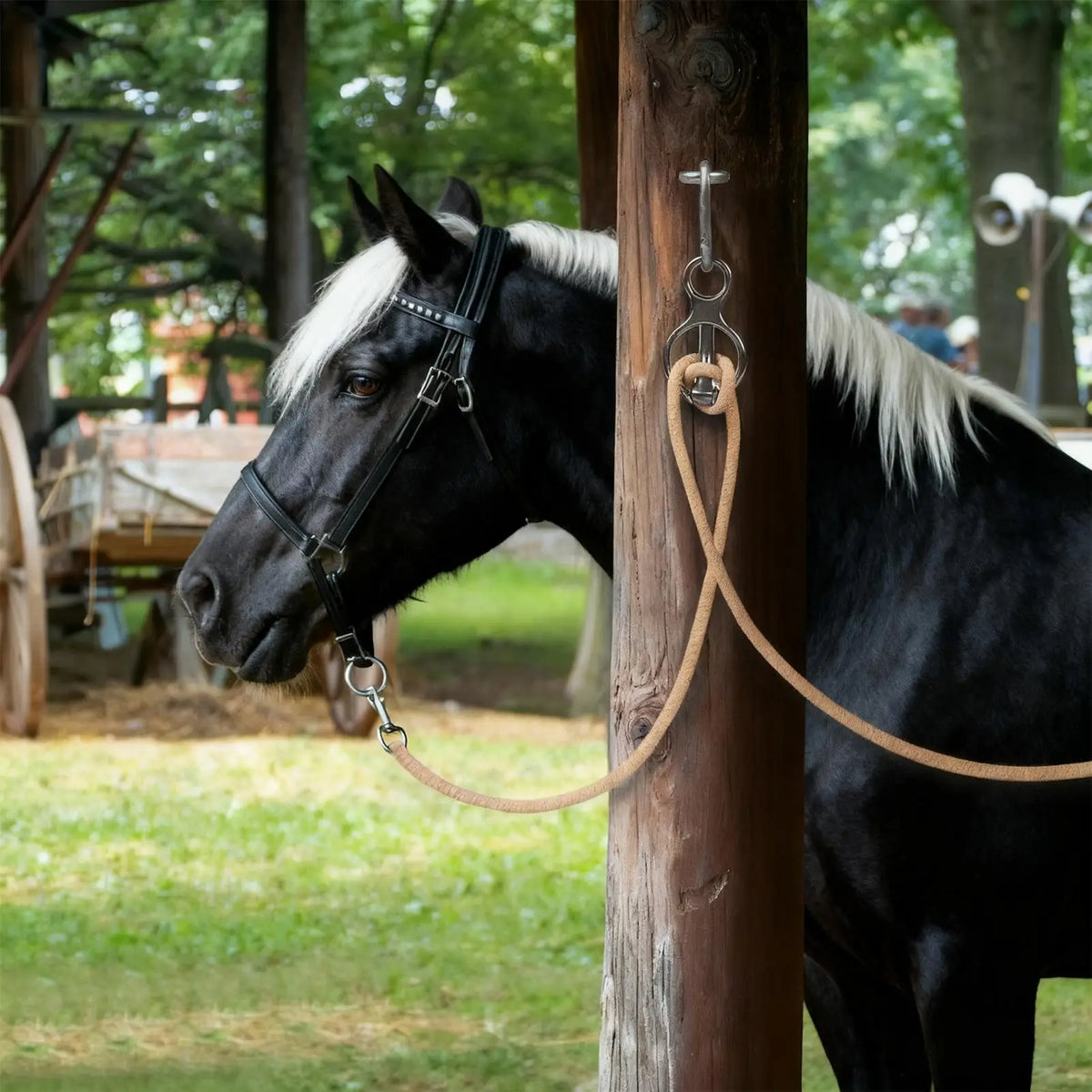 Quick Release Horse Tie Ring Reins Tie Rings - ProPawPet.com
