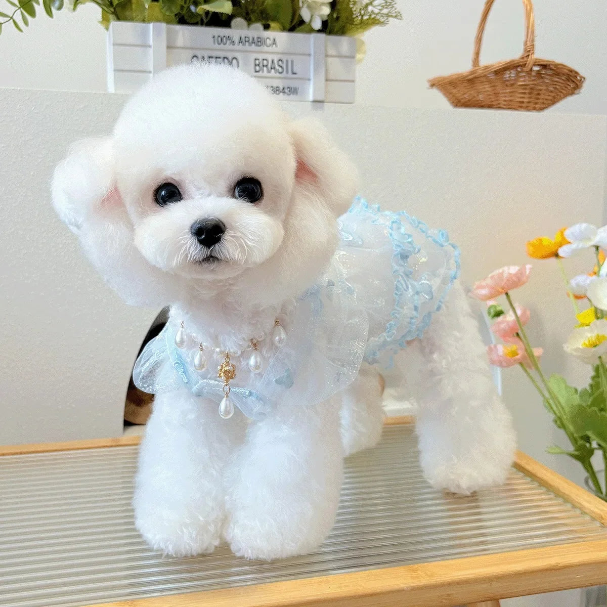 Mesh Pet Clothes Summer Puppy Sweet Princess - ProPawPet.com