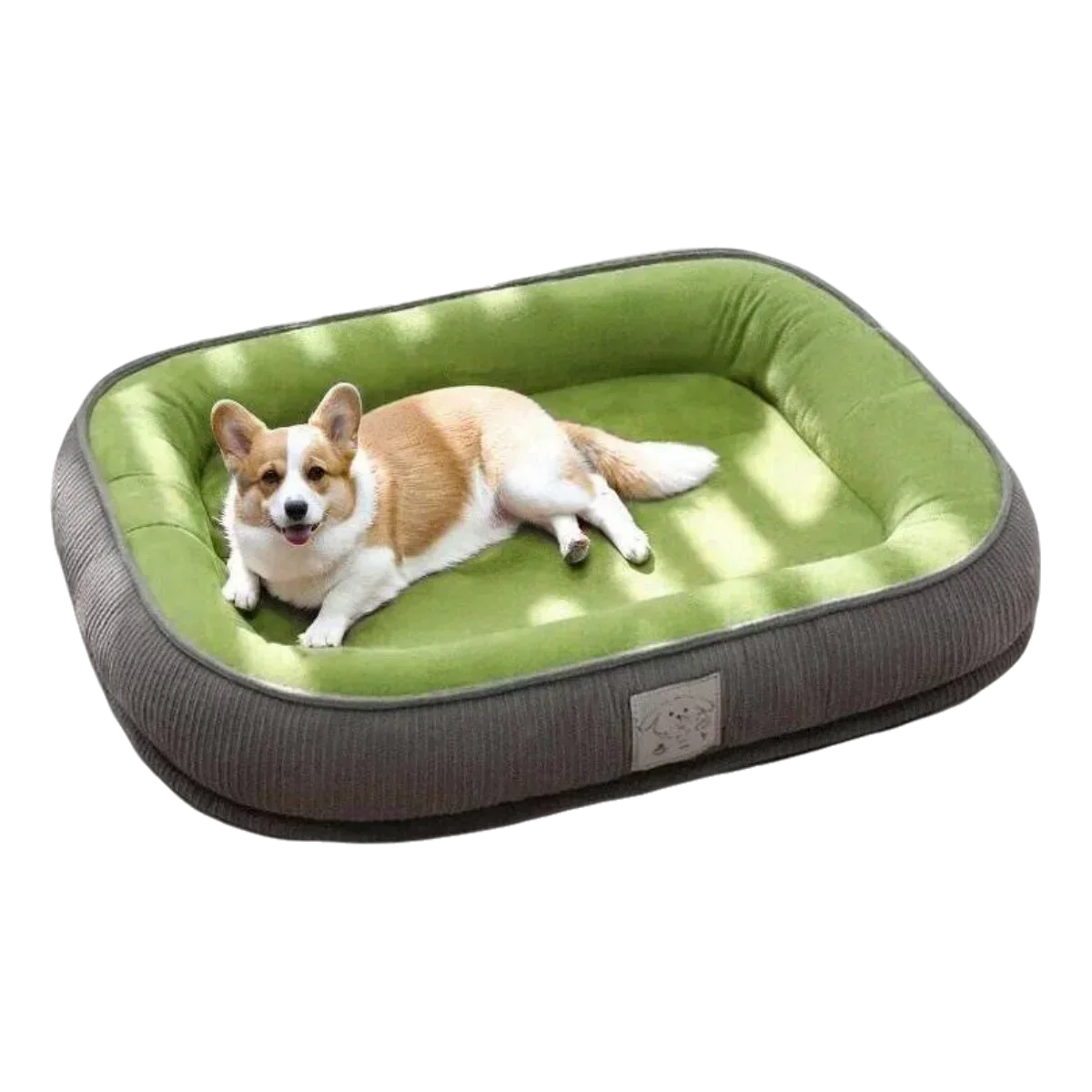 Thickened Wear Resistance Small Breed Dog - ProPawPet.com