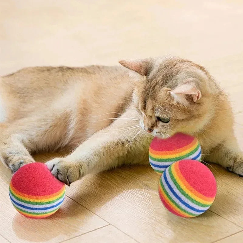 Rainbow EVA Cat Toys Ball Interactive Cat - ProPawPet.com