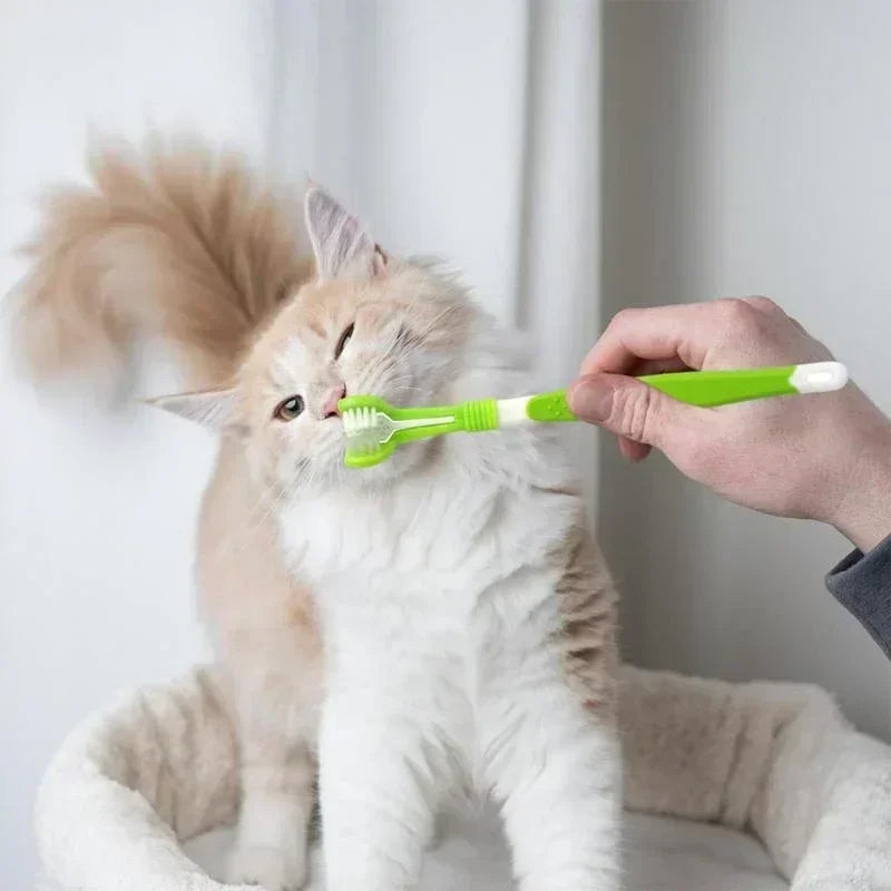 Three Sided Pet Toothbrush Multi Angle - ProPawPet.com