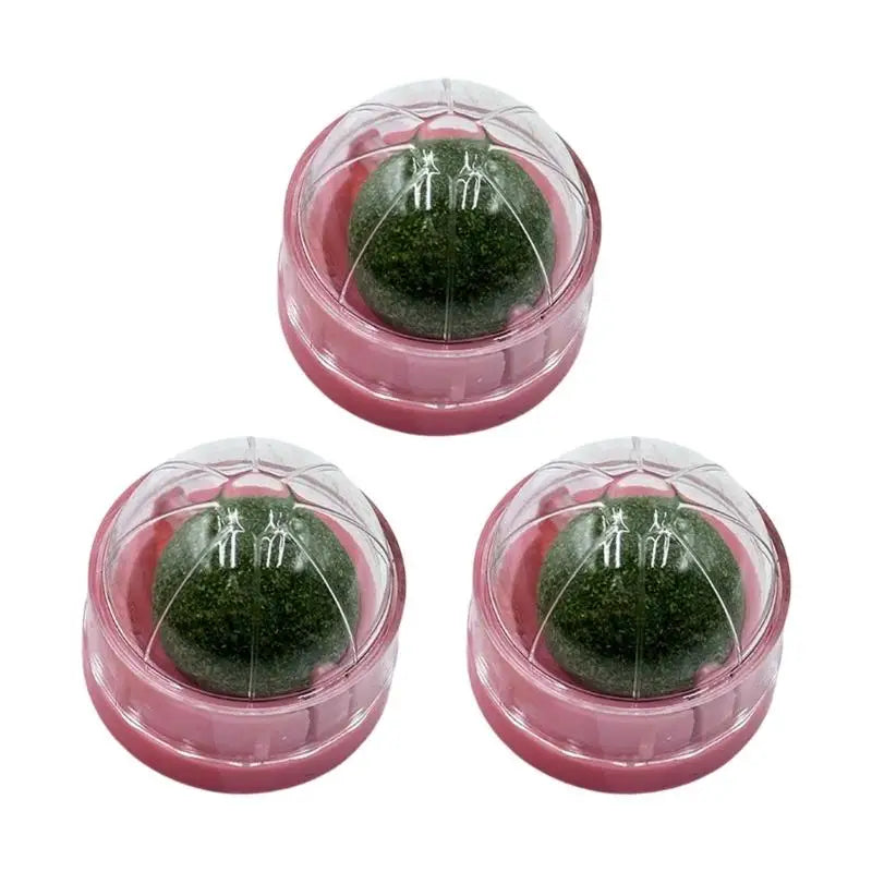 Set of 3 Interaction Cats Chew Toy Mint Balls – Cat Toys & Play