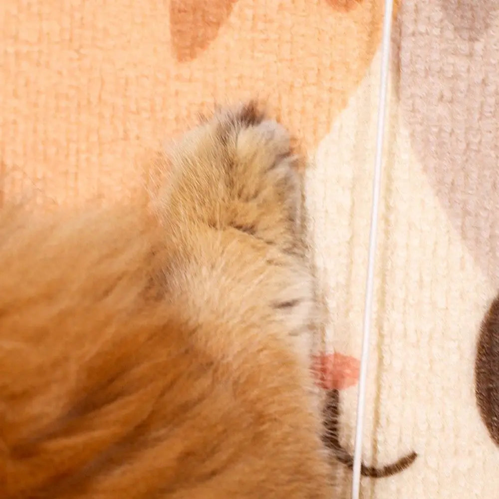 New Self-adhesive Cat Scratcher Wall-mounted - ProPawPet.com
