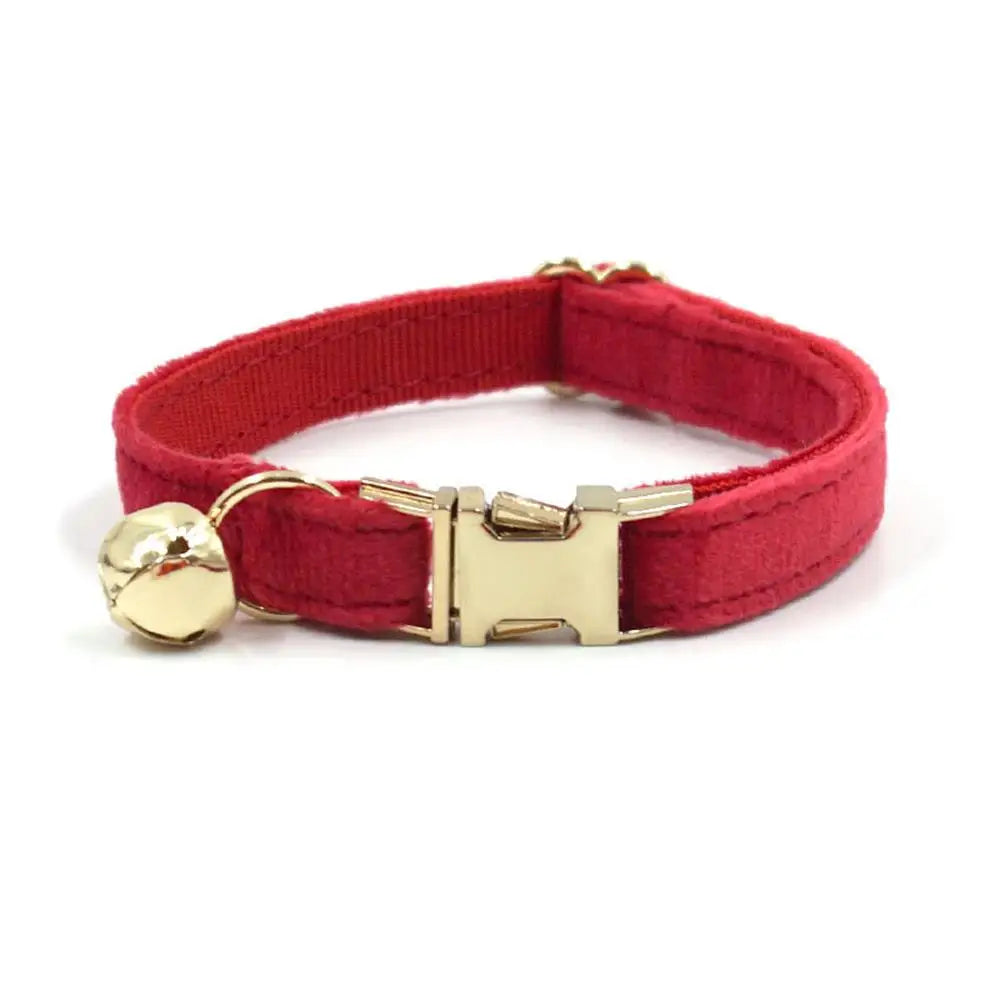 Free Engraving Customized Multicolor Soft - ProPawPet.com