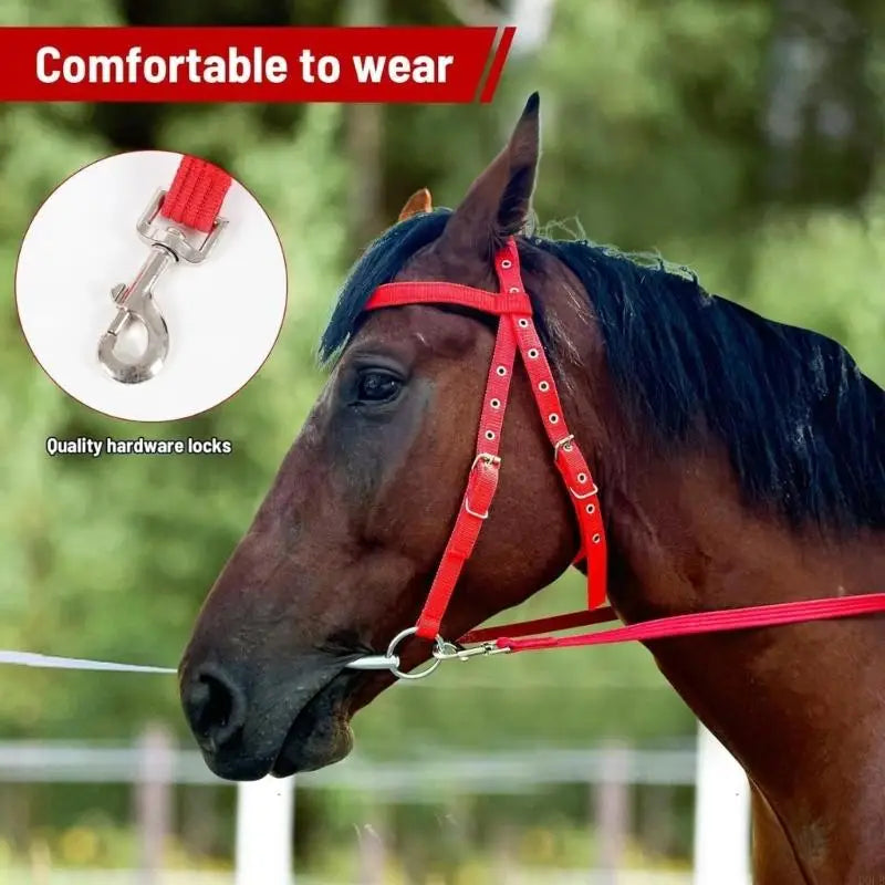 Comfortable Luxurious Leather Horse - ProPawPet.com