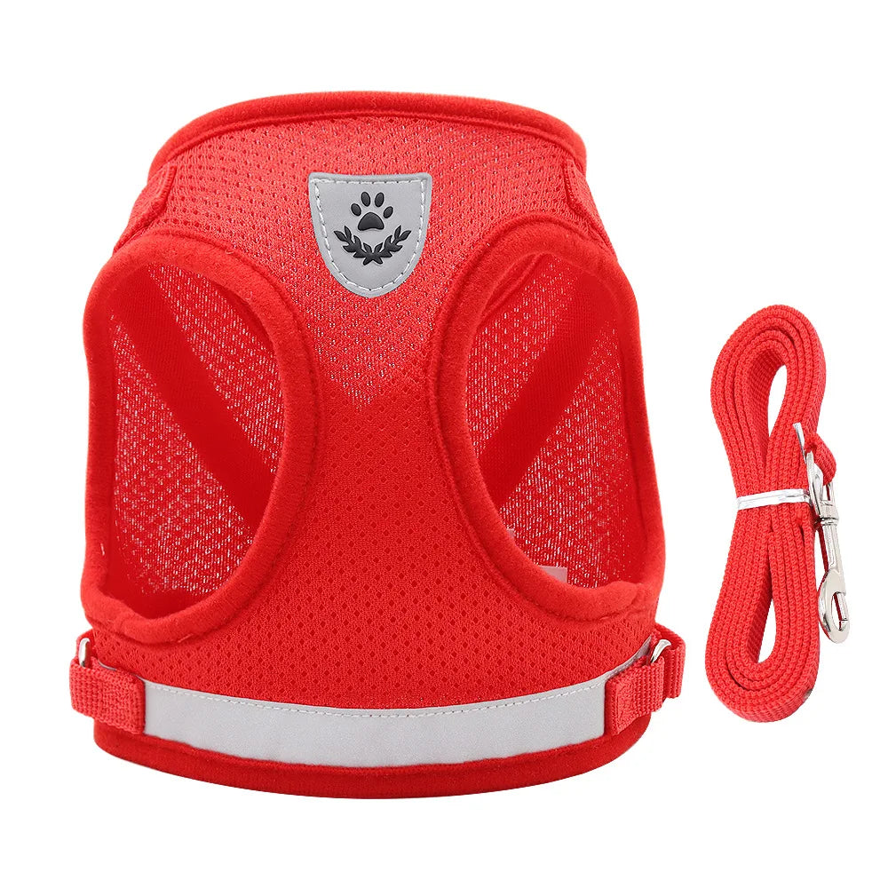 Adjustable Pet Dog Cat Harness and Leash Set - ProPawPet.com