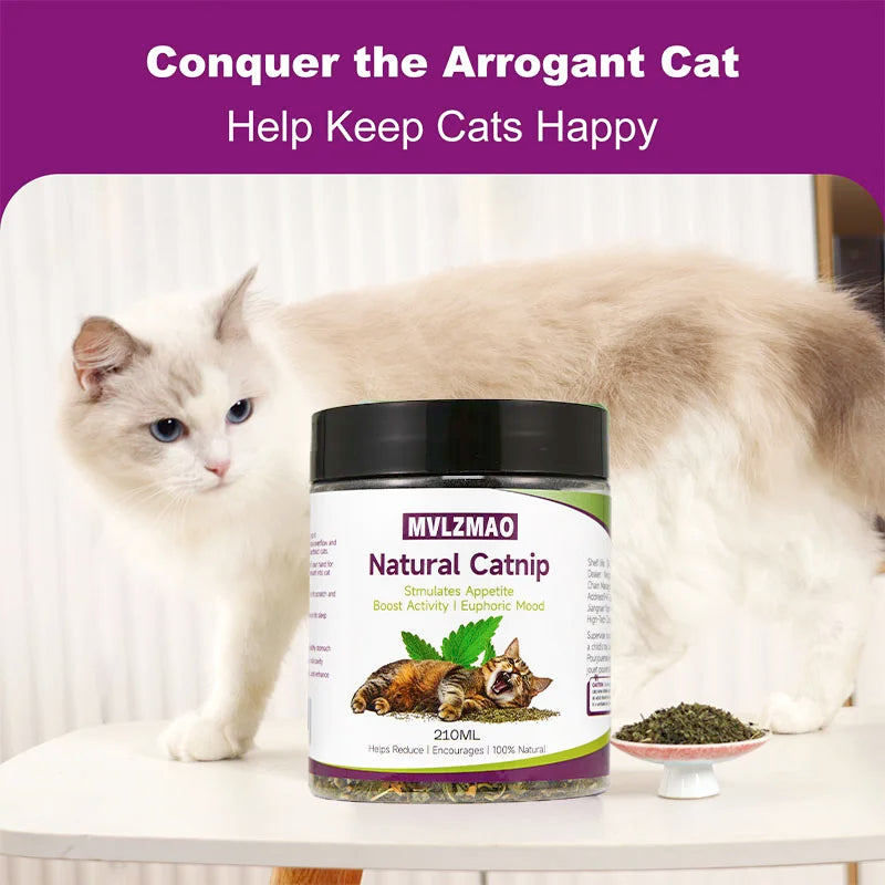 Cat Toys - Silvervine Catnip for Cats, 100% - ProPawPet.com