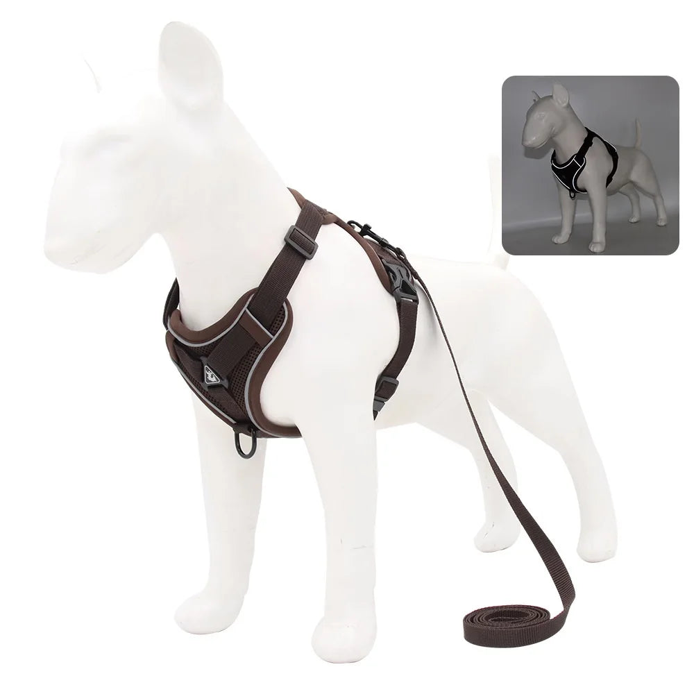 Harness and Leash Set Pet Accessories Dog - ProPawPet.com
