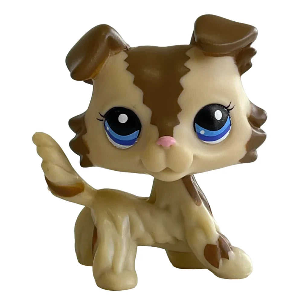 Rare Pet Original Pet Bobble Head Toy Custom - ProPawPet.com