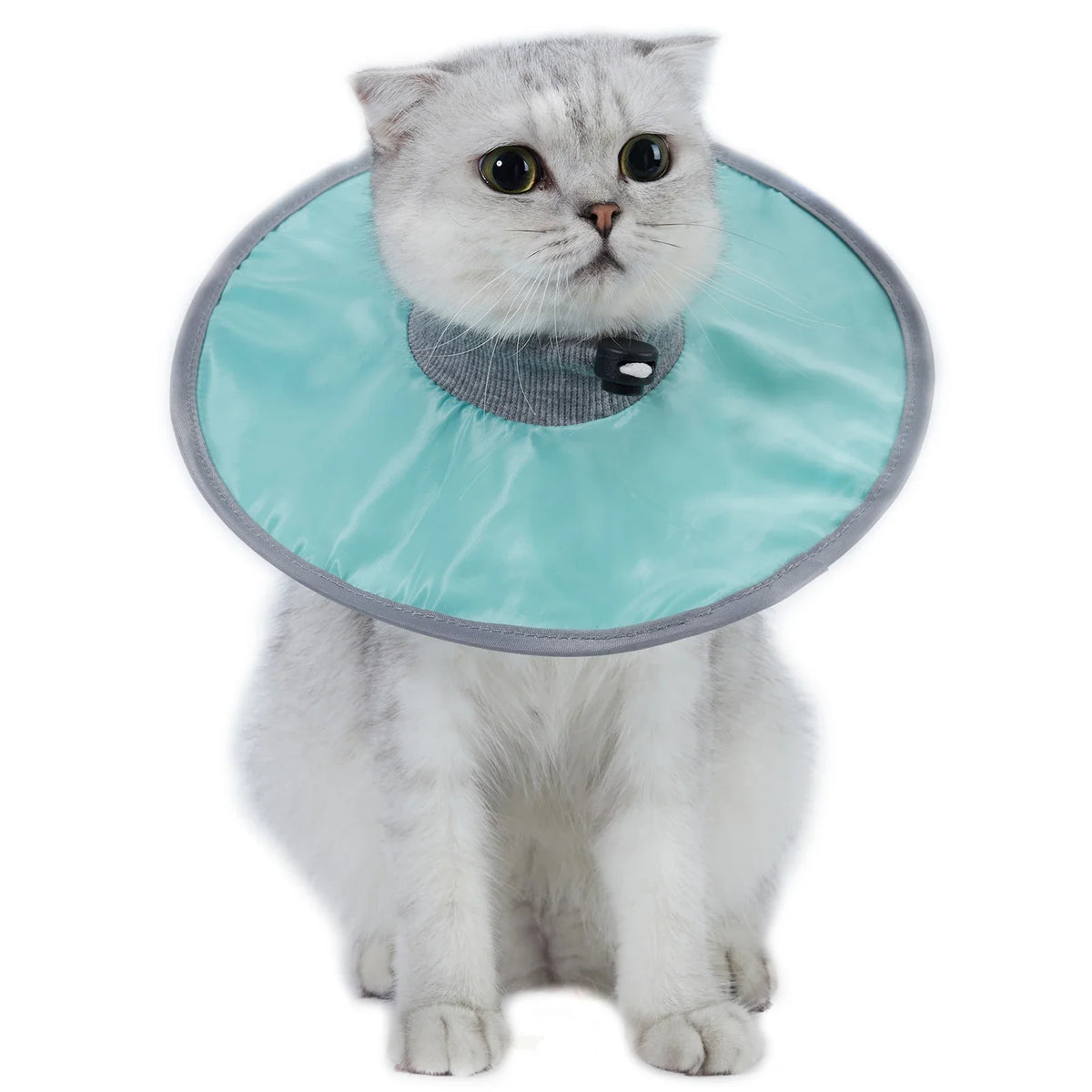 Pet Cat Protective Collar Neck Recovery Cone - ProPawPet.com
