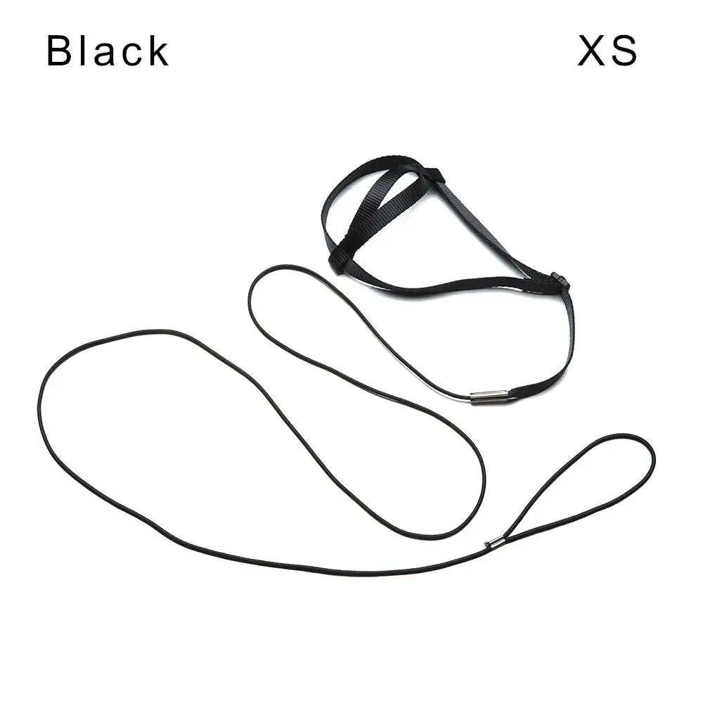 Anti-Bite Bird Harness Leash Set Parrot - ProPawPet.com