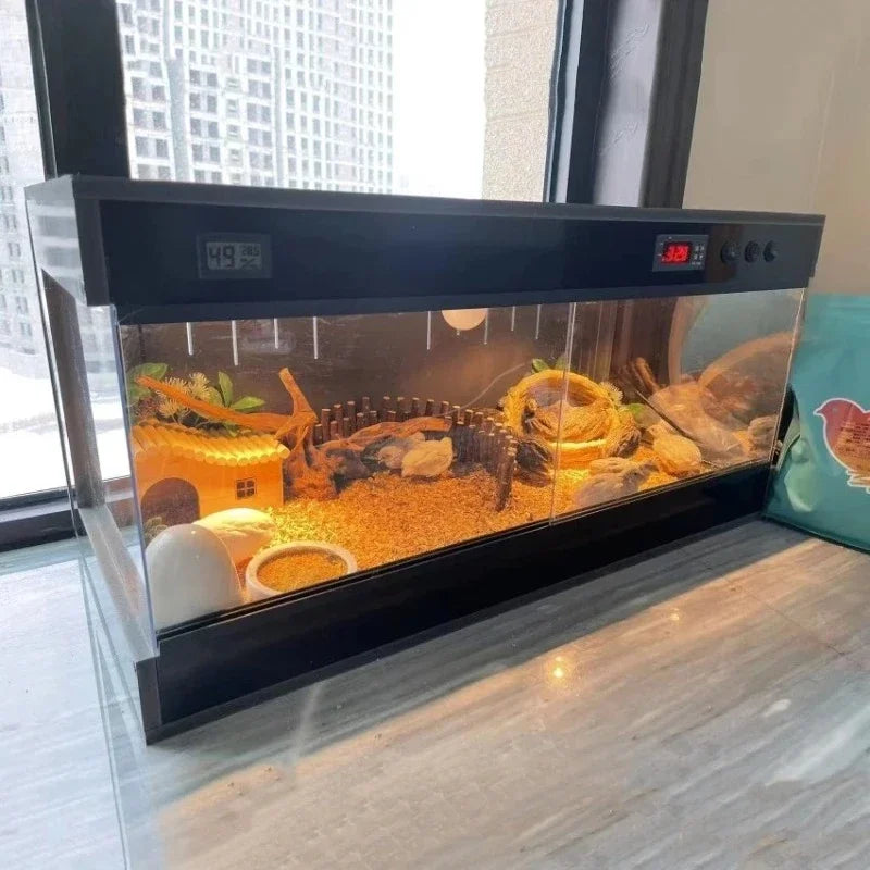Thermostat Reptile Terrarium Turtle Lizard - ProPawPet.com