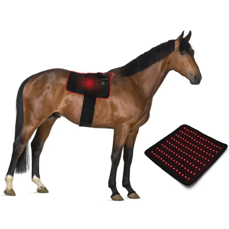 Pain Relief LED Red Light Near Infrared Pet - ProPawPet.com