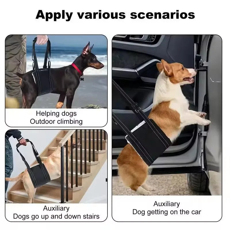 Adjustable Dog Sling for Back Legs Support - ProPawPet.com