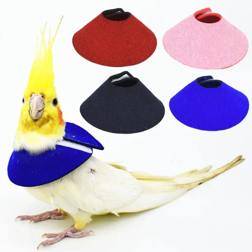 Adjustable Bird Accessories Anti-bite - ProPawPet.com