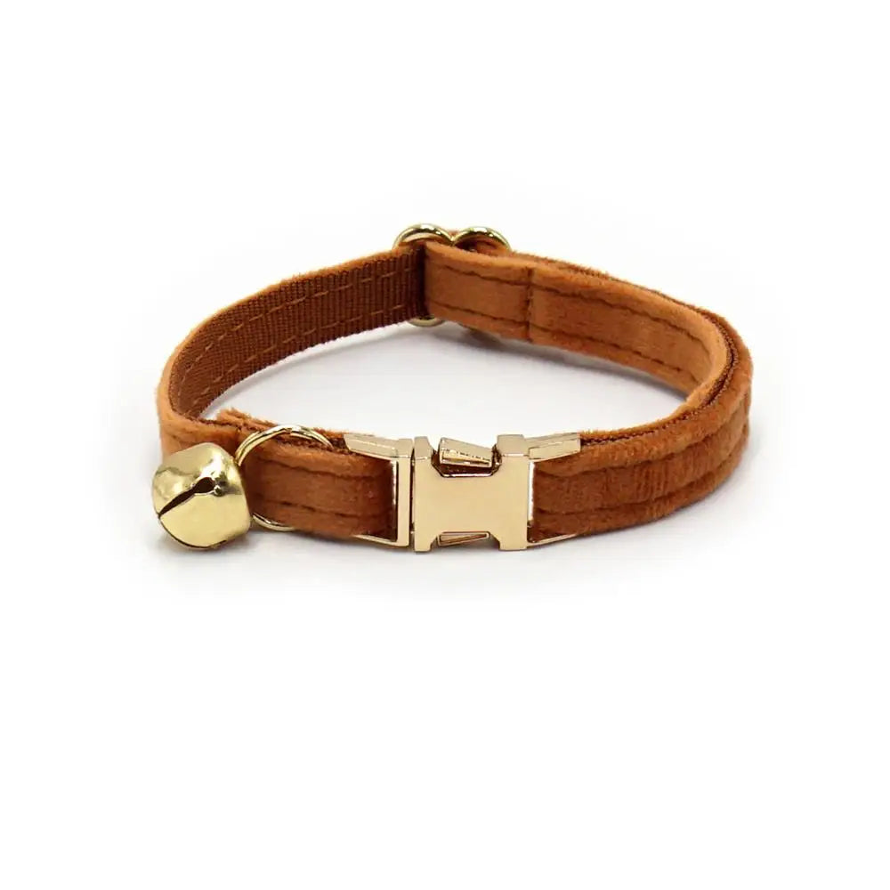 Free Engraving Customized Multicolor Soft - ProPawPet.com