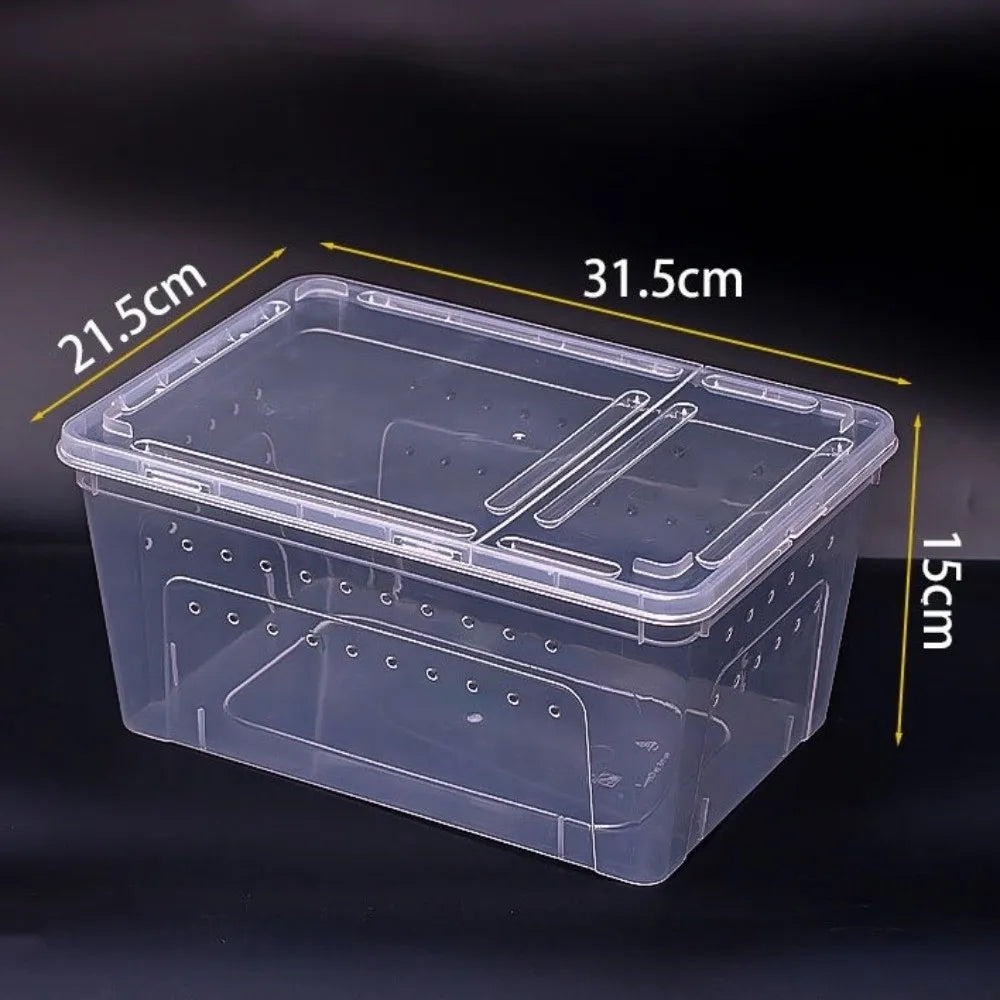 Transparent Reptile Breeding Box – 3 Colors