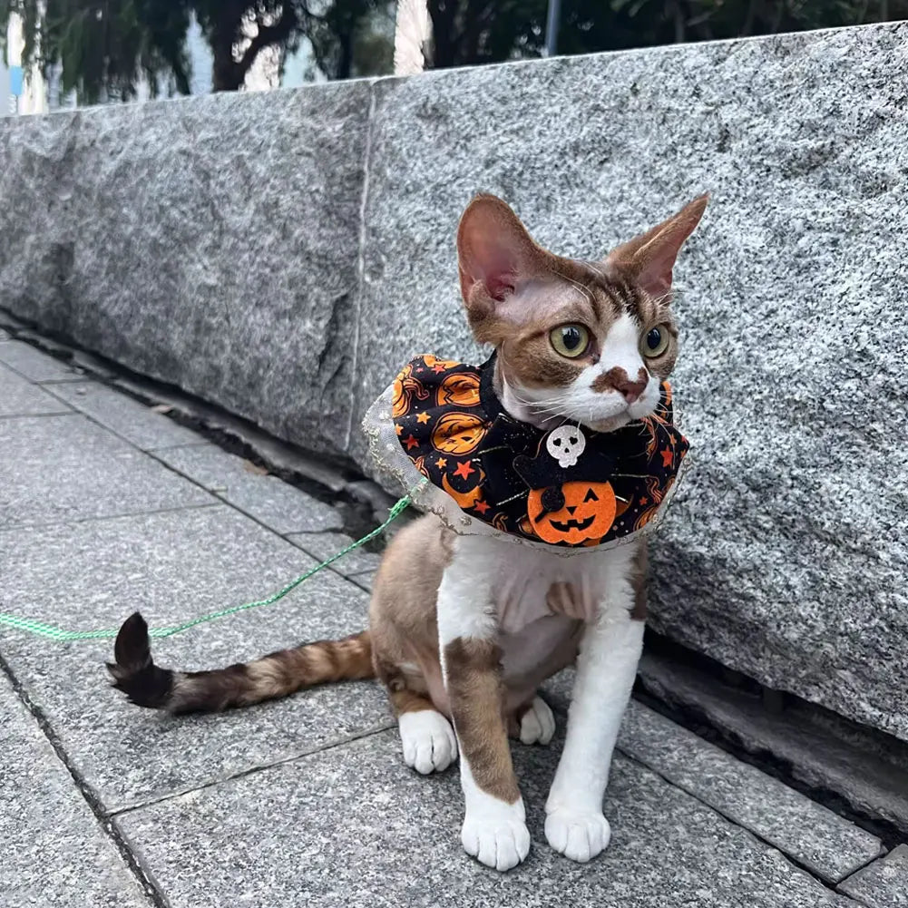 Cute and Soft Cat Dog Pet Necklace Halloween - ProPawPet.com