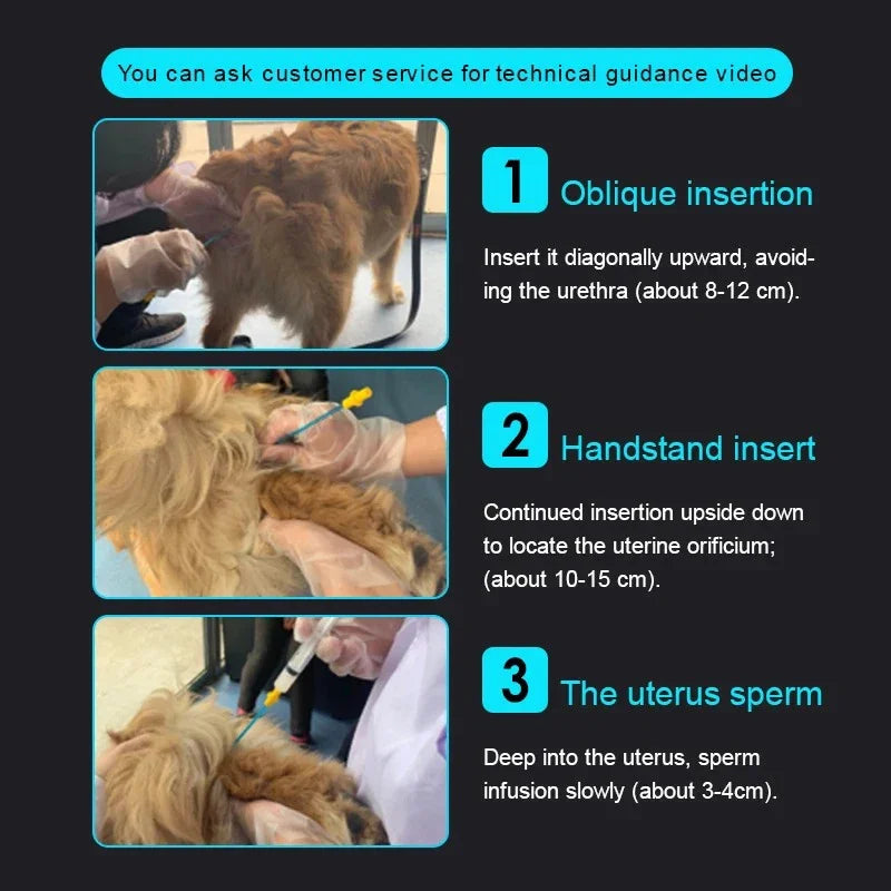 50PCS Canine Sperm Injection Semen - ProPawPet.com