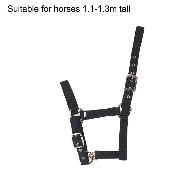 Adjustable Nylon Webbing Equestrian Western Horse Halter – 5 Colors