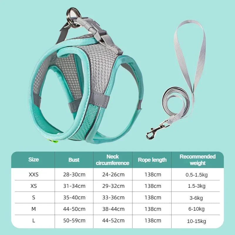 Cats Dog Accessories Small Dog Collar Safety - ProPawPet.com
