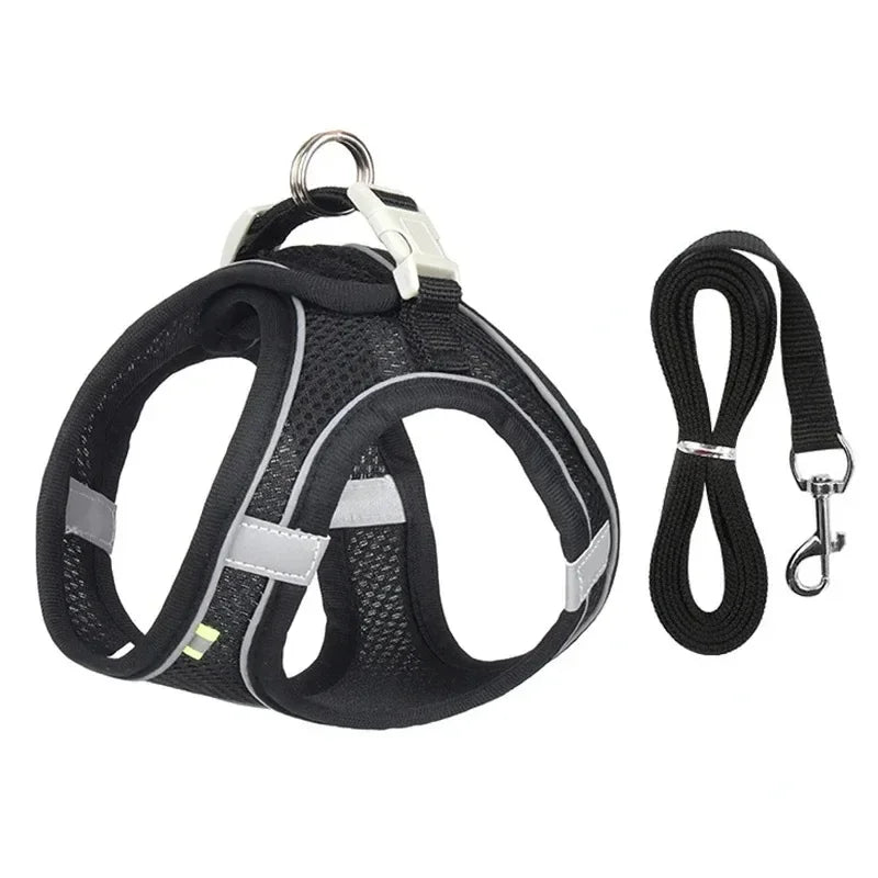 Cats Dog Accessories Small Dog Collar Safety - ProPawPet.com