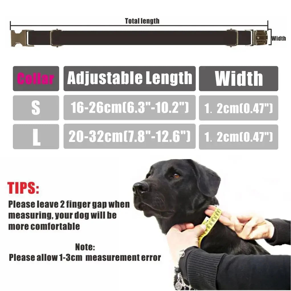 Free Engraving Customized Multicolor Soft - ProPawPet.com