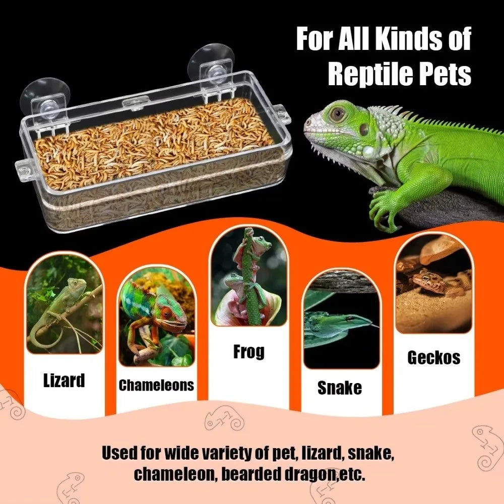 Anti-Escape Reptile Feeder Bowl Detachable - ProPawPet.com