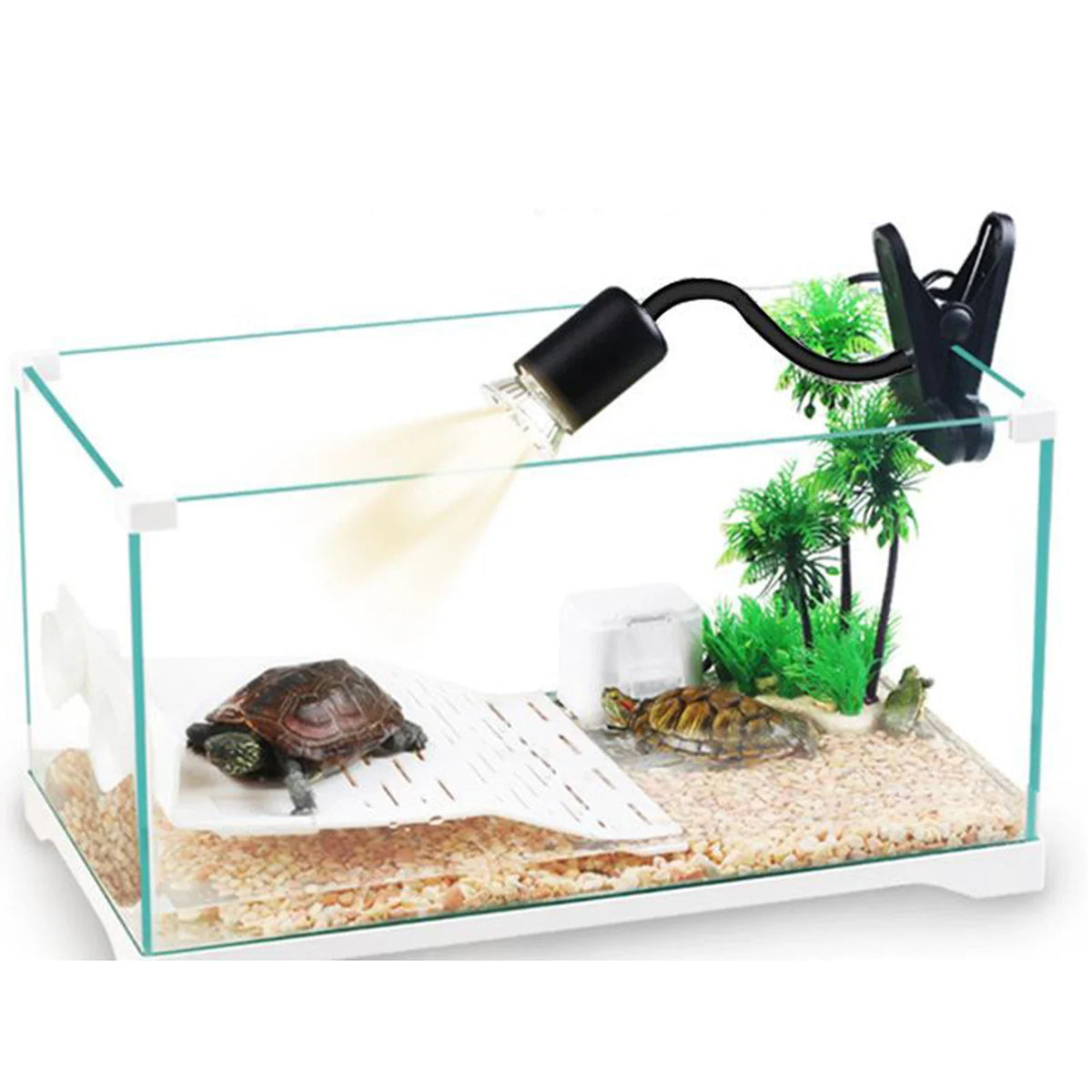 25/50W UVA+UVB Reptile Lamp Turtle Heating - ProPawPet.com