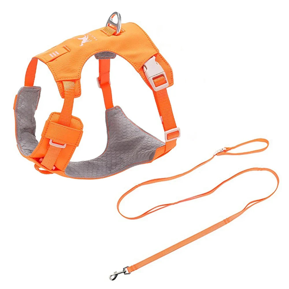 Lightweight Dog Harness & Leash Set - ProPawPet.com