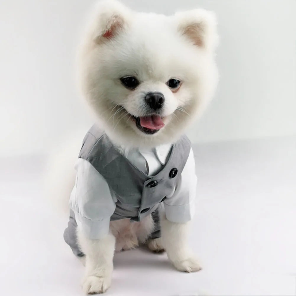 Dog Tuxedo - ProPawPet.com